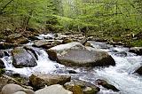 Cherokee NC 013